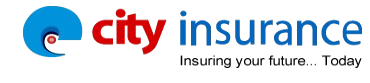 Pioneer Insurance Logo